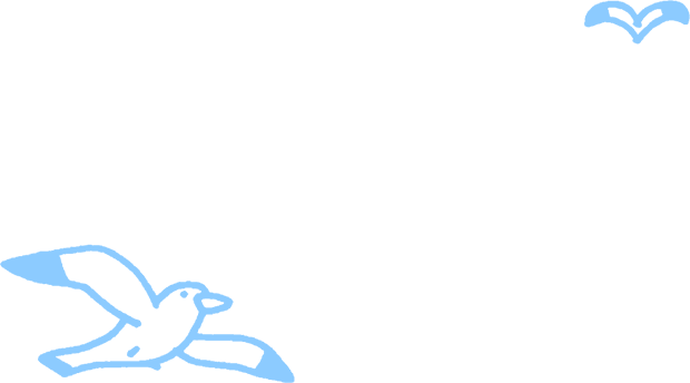 カモメ